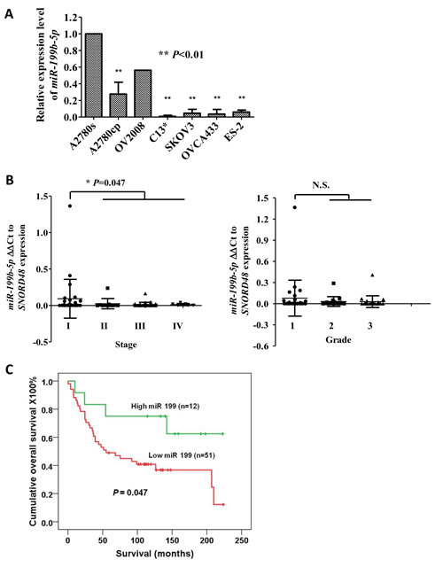 Fig 1: Loss of miR199b-5p is involved in acquired chemoresistance and advanced-stage ovarian cancer.
