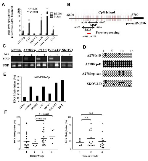 Fig 2: Hypermethylation silences miR-199b-5p expression in ovarian cancer.