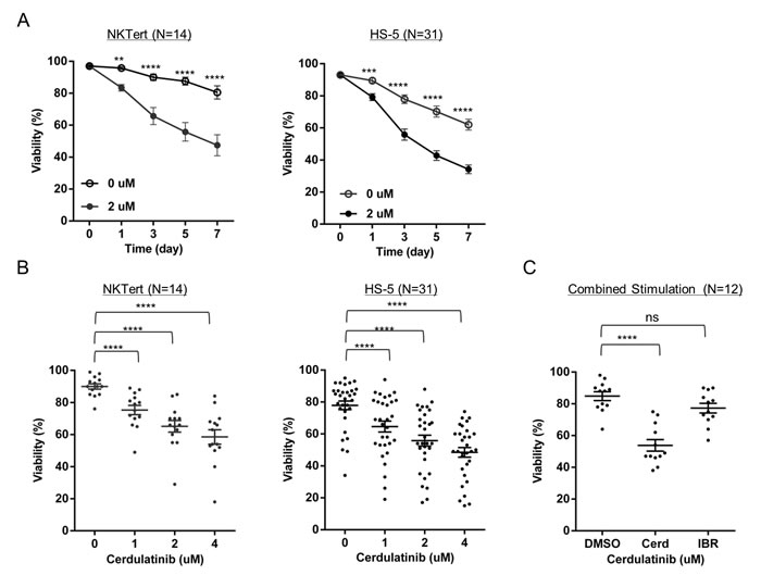 Cerdulatinib, but not ibrutinib, is able to overcome the support of the microenvironment and induces CLL cell death.