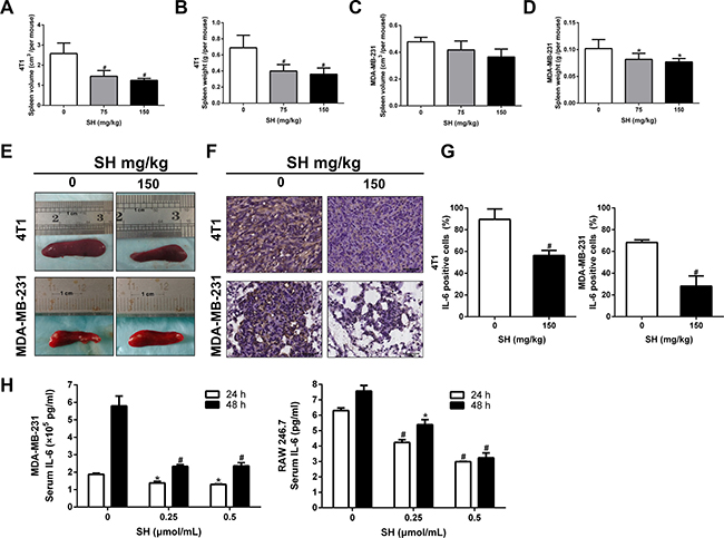 SH attenuated inflammation response elicited by breast cancer cells.