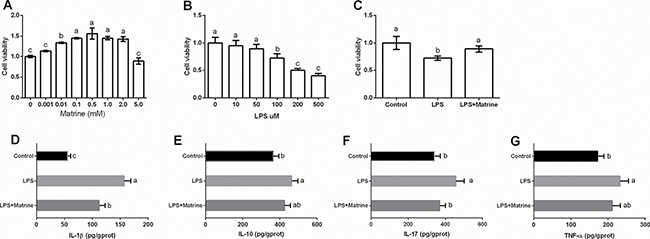 Effects of matrine and LPS on cellular viability and inflammatory cytokines.