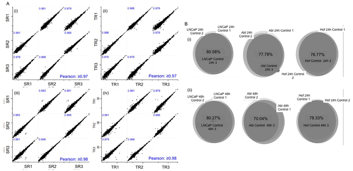 Validation of experimental design and analytical robustness.