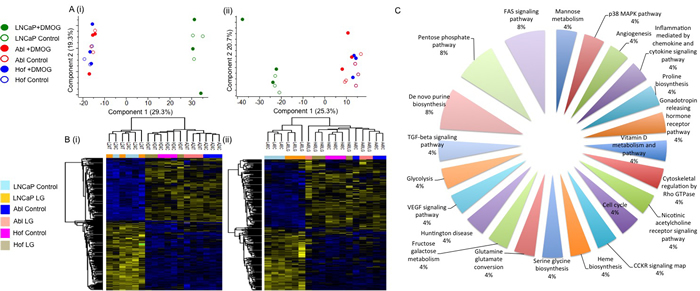Proteomic Characterisation of Androgen Sensitive and Androgen Independent PCa cell lines.