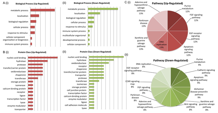 Biological Interrogation of Low Glucose-Associated Proteins of Interest.