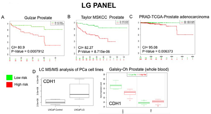 External Validation of LG Panel.