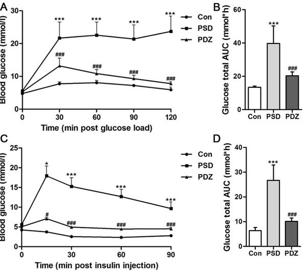 Effects of ZBPYR on glucose tolerance and insulin resistance in ZDF rats.