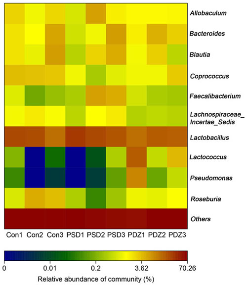 The heat map of 16S rRNA gene sequencing analysis of colonic mucosa at the genus level.