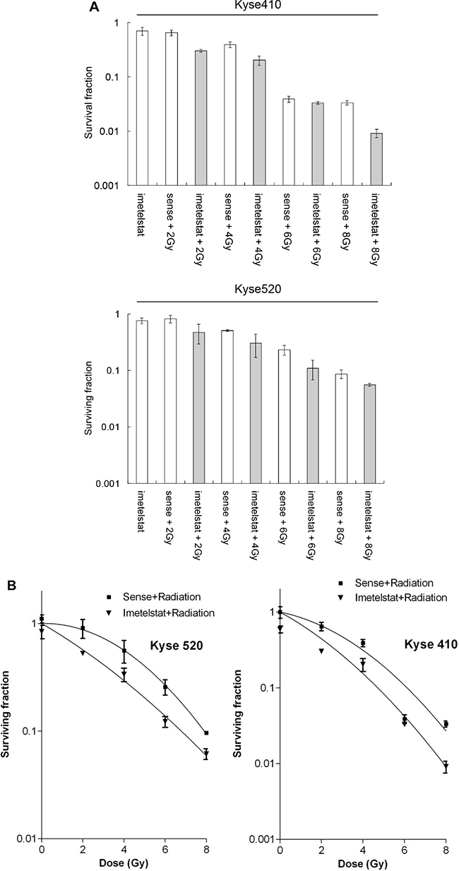 Imetelstat radiosensitizes Kyse410 and Kyse520 cells by using clonogenic cell survival following imetelstat and/or X-ray irradiation (2, 4, 6 and 8 Gy).