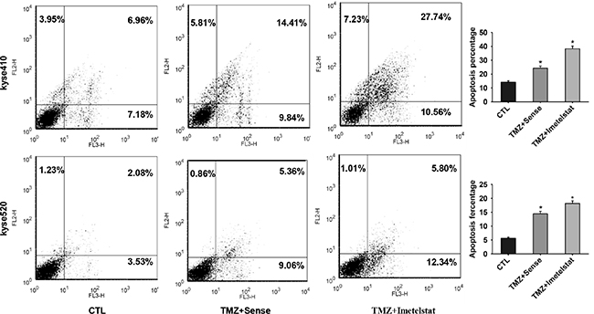 Imetelstat increases cell apoptosis of Kyse410 and Kyse520 cell.