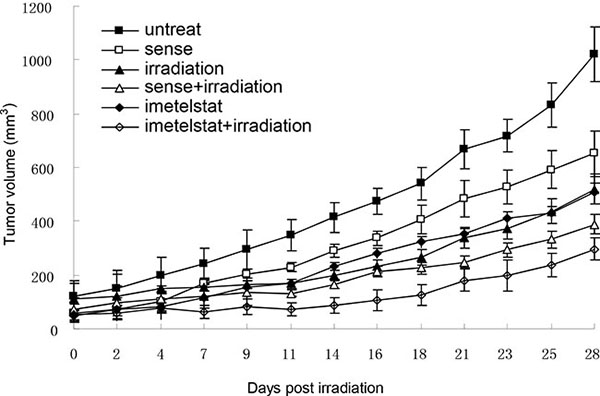 Imetelstat sensitizes esophageal cancer cell Kyse520 to radiation in vivo.