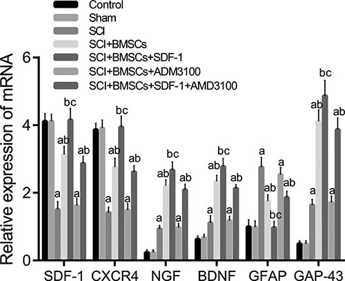 Comparison of the mRNA expression of SDF-1, CXCR4, NGF, BDNF, GFAP and GAP-43 detected using qRT-PCR among the blank control, sham, SCI, SCI + BMSCs, SCI + BMSCs + SDF-1, SCI + BMSCs + AMD3100 and SCI + BMSCs + SDF-1 + AMD3100 groups.