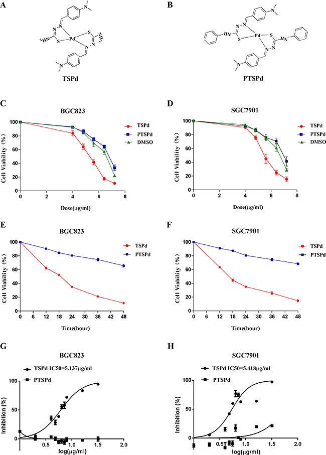 Effect of the target complexes on cell viabilities of human gastric carcinoma cells.