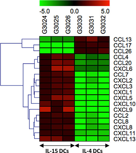 Hierarchical cluster analysis of 18 genes belonging to the chemokine family, distinctly different between IL-15 DCs and IL-4 DCs.