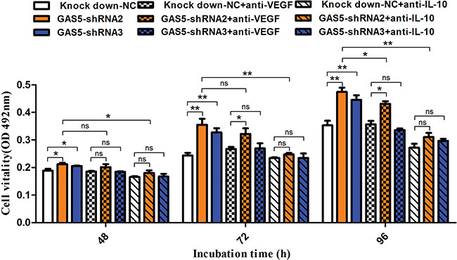 Neutralization of IL-10 and VEGF-A reduces tumour proliferation caused by GAS5 knockdown.