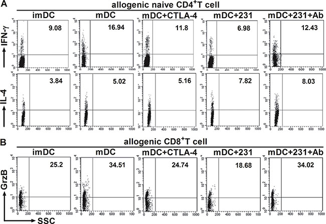 CTLA-4+BCCs impair the ability of DCs to induce the response of CD4+/CD8+ T cell.