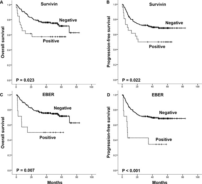 Overall survival and progression-free survival of the patients according to serum survivin positivity and EBER status.