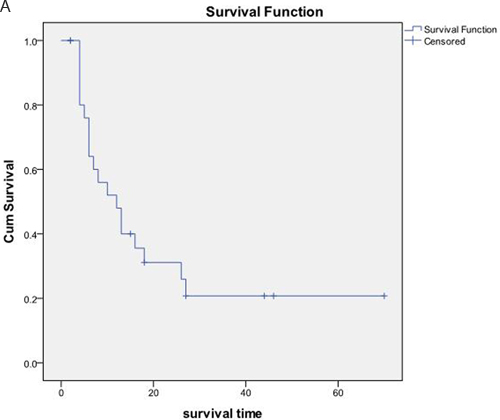 Figure 3: