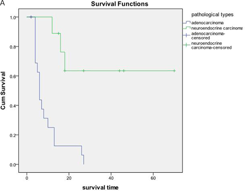 18 cases in the pancreatic cancer group with an OS of 9.19&plusmn;1.85 months, and nine cases in the pancreatic neuroendocrine tumor group with an OS of 50.10&plusmn;9.21 months,