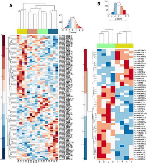 Heat maps: Deregulated miRNAs combined for all compounds or for single AMANTADIG treatment.