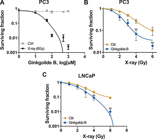 PAFR inhibition sensitizes PC3 and LNCaP cells to irradiation.