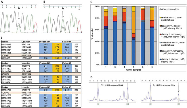 Sanger sequencing of SDHAF2 in normal (A) and tumor (B) DNA.