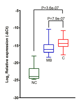 Figure 4: