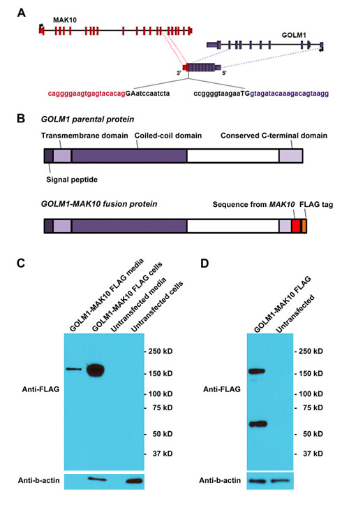 Figure 5: