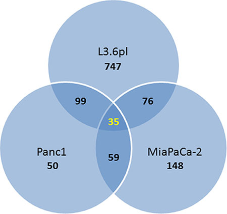 Venn diagram showing the number of overlapping differentially expressed genes (fold change &#x2265; 2; p-value &#x2264; 0.05) in the three pancreatic cancer cell lines treated with TA.