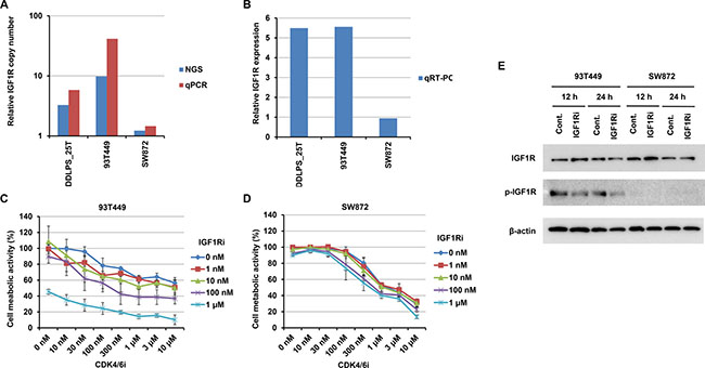Effects on 93T449 and SW872 cells of combined treatment with CDK4 and IGF1R inhibitors.