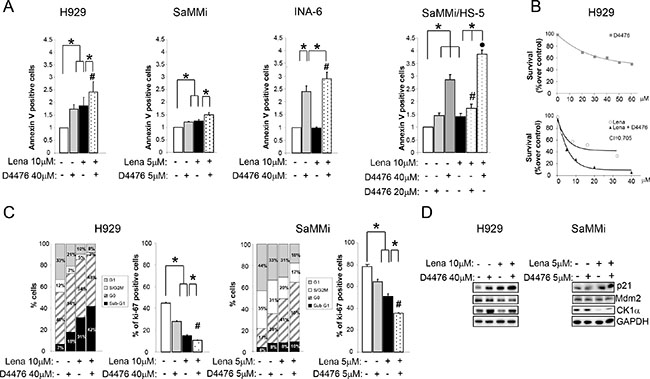Lenalidomide empowers D4476-induced apoptosis and cell cycle arrest.