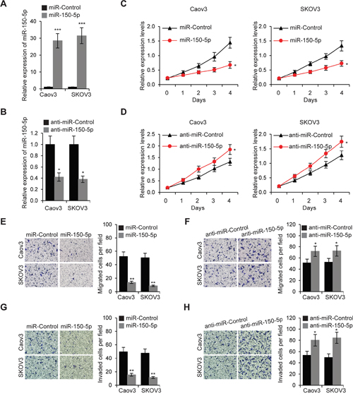 MiR-150-5p inhibits EOC cell proliferation, migration and invasion.