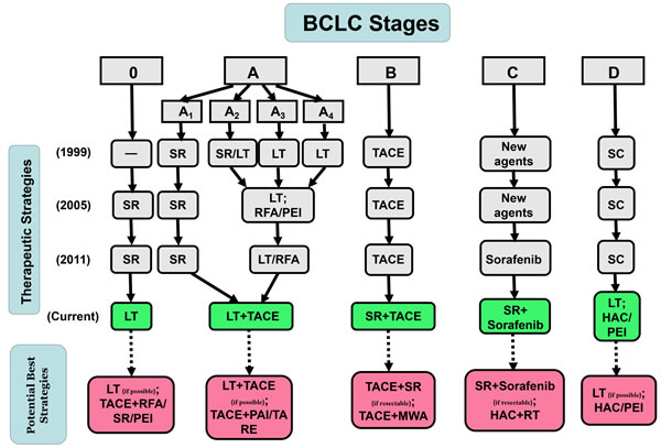 Previous version of and updates to BCLC Therapeutic Flowchart.