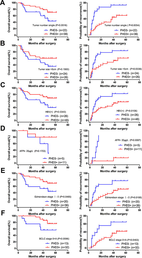 Kaplan-Meier curves for patients with different clinicopathological characteristics according to PHD3 expression level in TAMs.