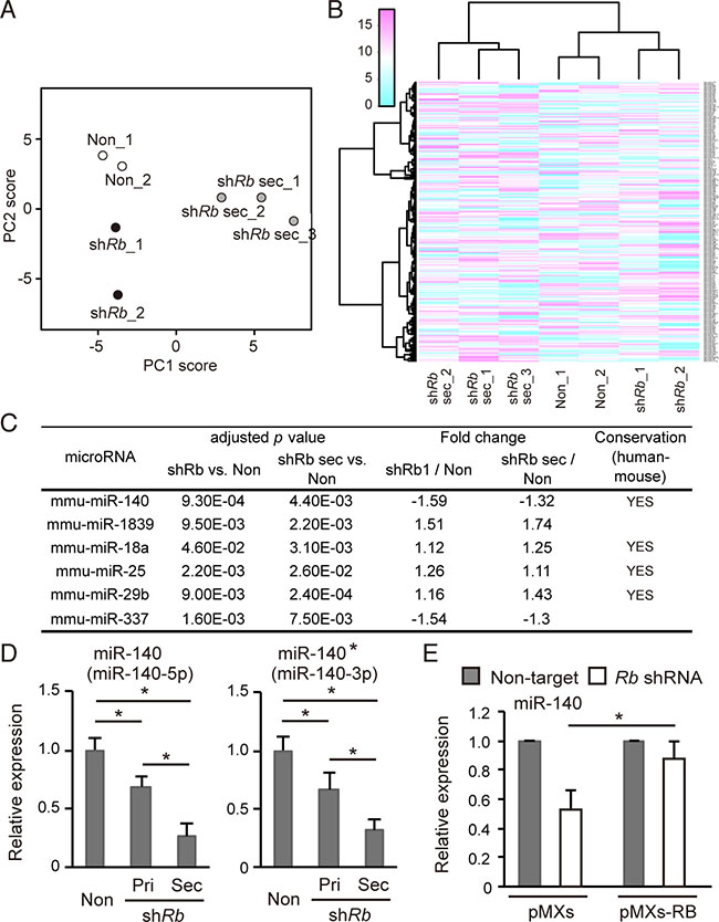 Rb depletion downregulates mir-140 expression.