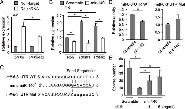 mmu-mir-140 mediates Rb function to control Il-6 expression.