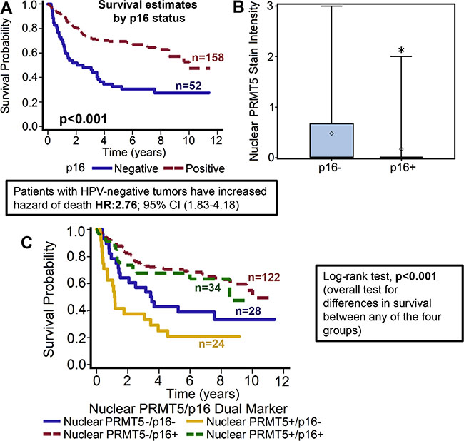 Nuclear PRMT5 expression is significantly lower in p16-positive tumors as compared to p16-negative tumors.