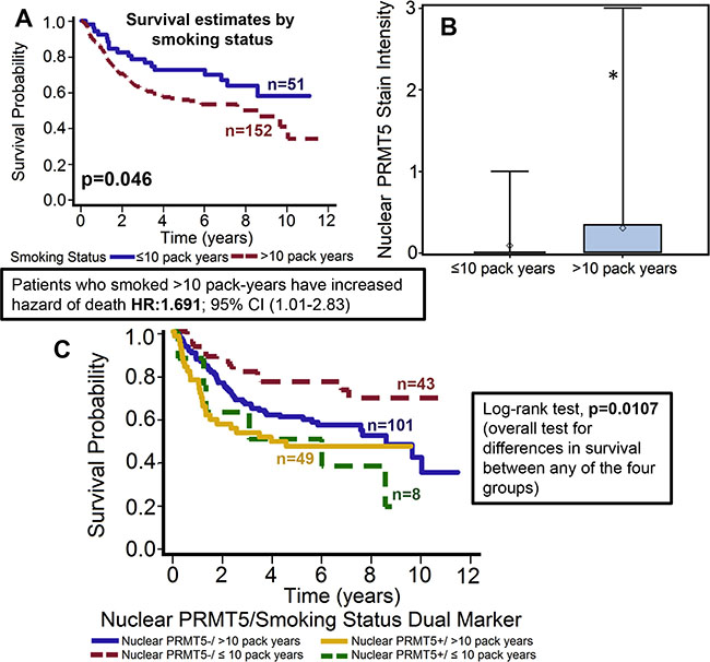 Patients who smoked &#x003E; 10 pack-years had significantly poor overall survival and markedly higher nuclear PRMT5 expression.