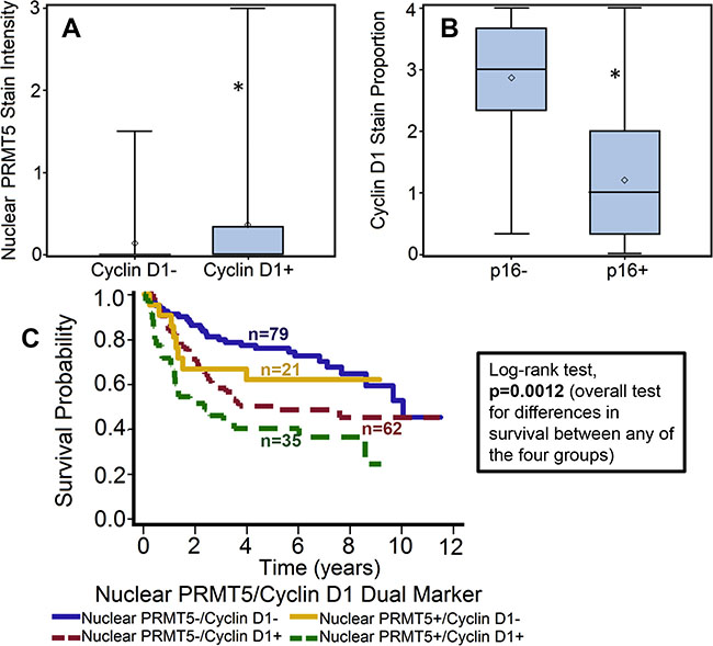 Cyclin D1 expression is directly correlated with nuclear PRMT5 expression and inversely with p16 status.