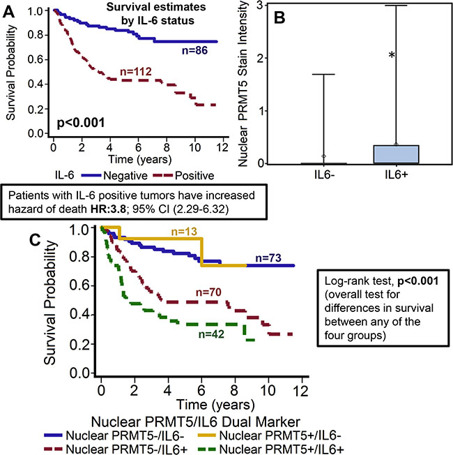 High IL-6 expression is associated with poor overall survival and directly correlates with nuclear PRMT5 expression.