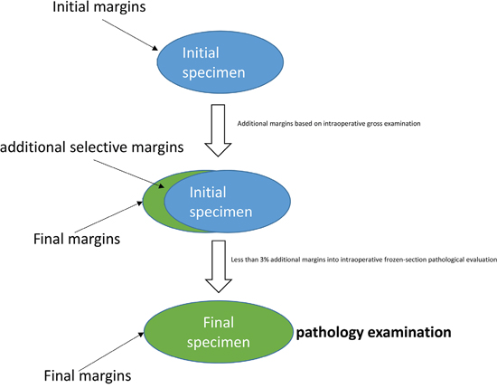 Surgical and pathological management of specimen and margins during and after PM.