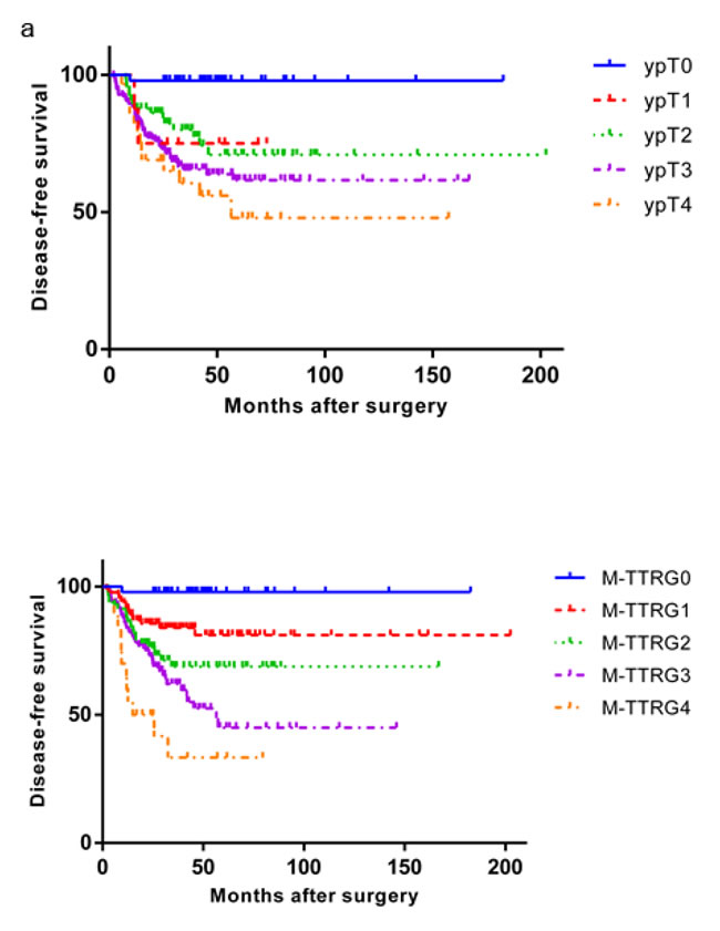 Kaplan-Meier Analysis of Disease Free Survival of Rectal Cancer Patients Treated with NCRT and Surgery According to the ypT Stage and M-TTRG Classification.