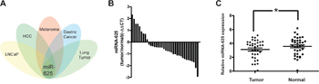 miR-625 is downregulated in malignant melanoma tissues.