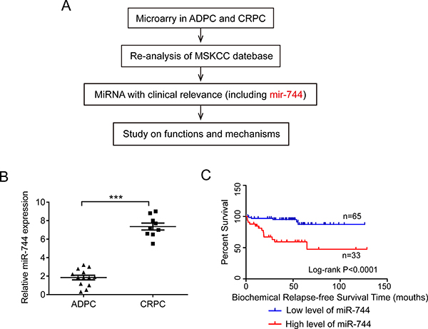 MiR-744 was overexpressed in CRPC and positively associated with CRPC progression.