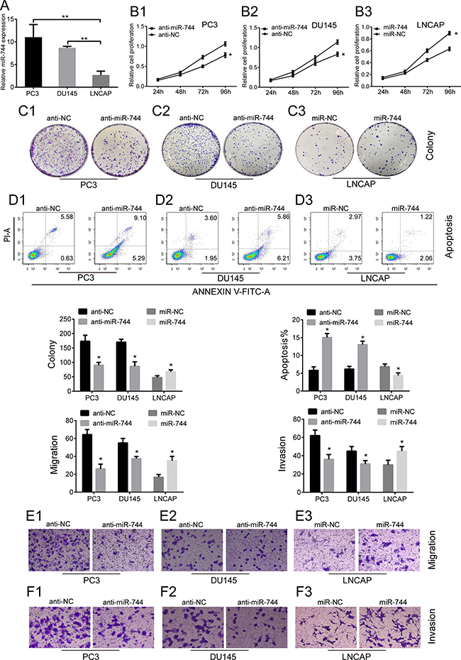 MiR-744 promotes PCa cells proliferation, migration, and invasion, but suppresses apoptosis in vitro.