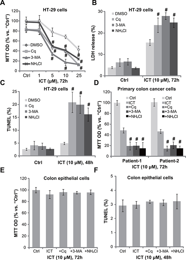 Autophagy inhibitors potentate icaritin-induced CRC cell death and apoptosis.