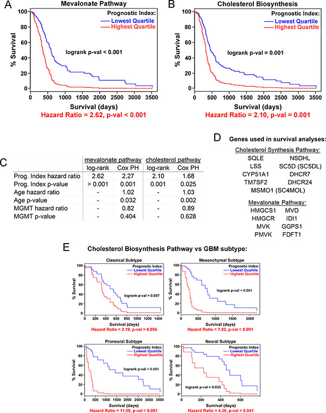 Cholesterol pathway upregulation is associated with poor prognosis for GBM patients.