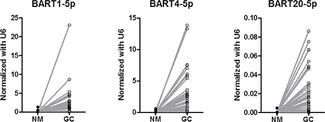 Comparison of expression levels of BART miRNAs between tumor tissue and paired normal tissue (P &#x003C; 0.001 for each).
