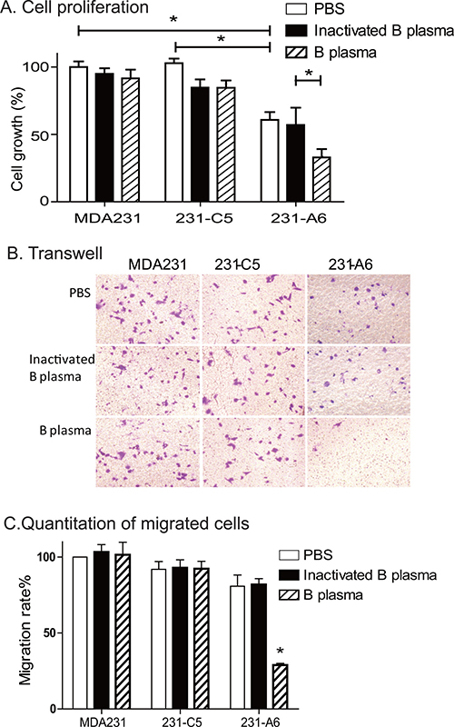 Group B plasma reduces cell proliferation and migration.
