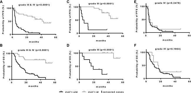 Kaplan-Meier survival estimates for HGG patients according to XAF1 promoter methylation state.