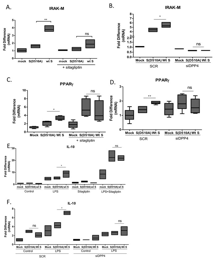 Interaction of MERS-CoV S glycoprotein with DPP4 induced IRAK-M and PPAR&#x3b3; expression.